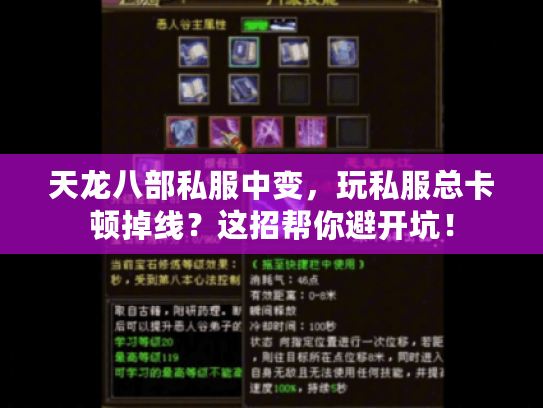 天龙八部私服中变,玩私服总卡顿掉线?这招帮你避开坑! 天龙八部私服中变,玩私服总卡顿掉线?这招帮你避开坑!