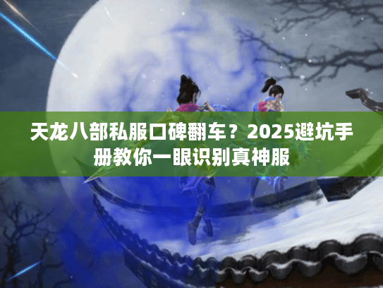 天龙八部私服口碑翻车？2025避坑手册教你一眼识别真神服