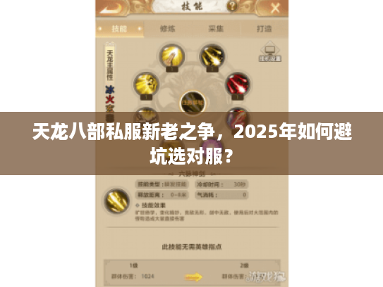 天龙八部私服新老之争，2025年如何避坑选对服？
