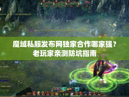 魔域私服发布网独家合作哪家强？老玩家亲测防坑指南