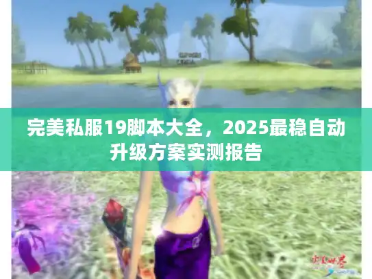 完美私服19脚本大全，2025最稳自动升级方案实测报告