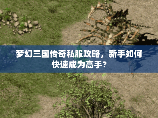 梦幻三国传奇私服攻略，新手如何快速成为高手？