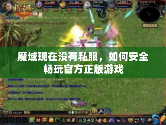 魔域现在没有私服，如何安全畅玩官方正版游戏