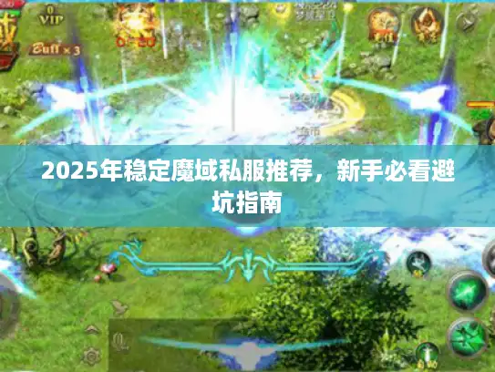2025年稳定魔域私服推荐，新手必看避坑指南