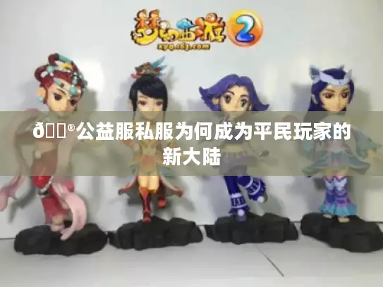 🎮公益服私服为何成为平民玩家的新大陆