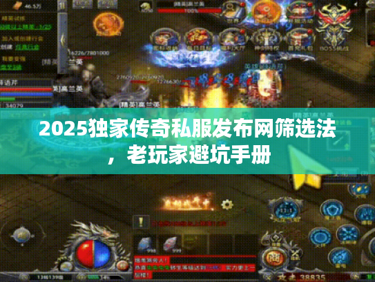 2025独家传奇私服发布网筛选法，老玩家避坑手册