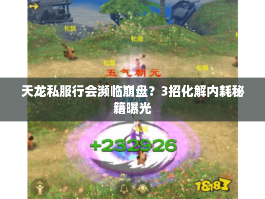天龙私服行会濒临崩盘？3招化解内耗秘籍曝光