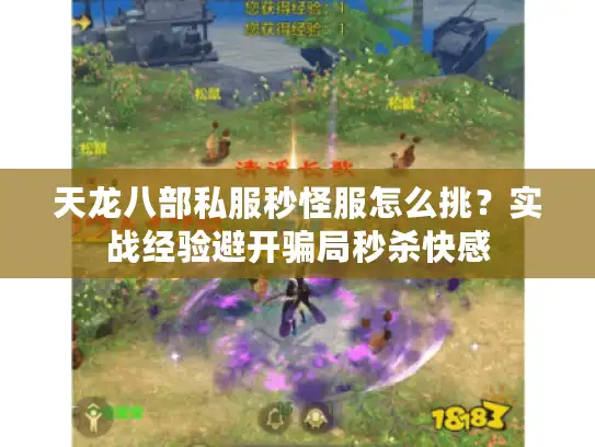 天龙八部私服秒怪服怎么挑？实战经验避开骗局秒杀快感