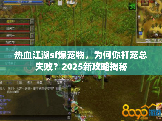 热血江湖sf爆宠物，为何你打宠总失败？2025新攻略揭秘