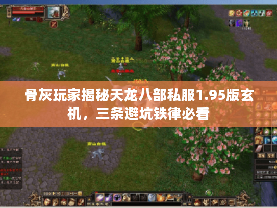 骨灰玩家揭秘天龙八部私服1.95版玄机，三条避坑铁律必看