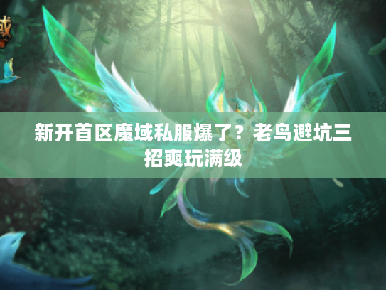 新开首区魔域私服爆了？老鸟避坑三招爽玩满级
