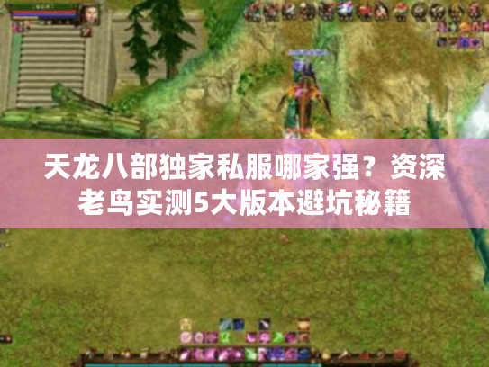 天龙八部独家私服哪家强?资深老鸟实测5大版本避坑秘籍 天龙八部独家私服哪家强?资深老鸟实测5大版本避坑秘籍