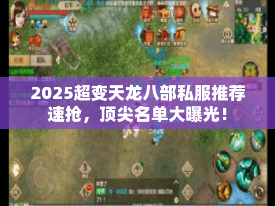 2025超变天龙八部私服推荐速抢，顶尖名单大曝光！