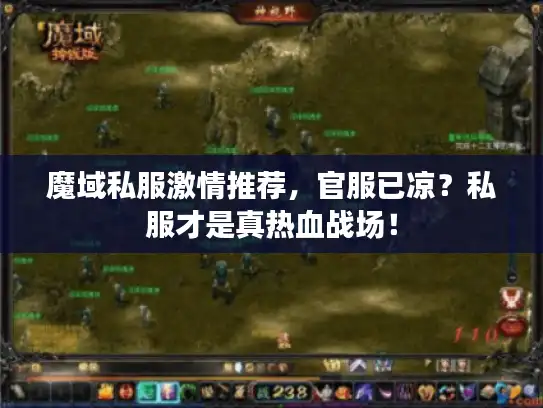 魔域私服激情推荐，官服已凉？私服才是真热血战场！