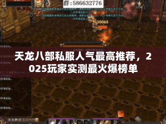 天龙八部私服人气最高推荐，2025玩家实测最火爆榜单
