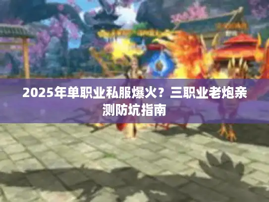 2025年单职业私服爆火？三职业老炮亲测防坑指南
