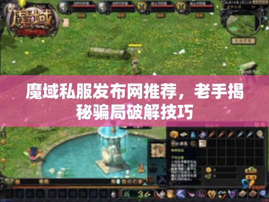 魔域私服发布网推荐，老手揭秘骗局破解技巧