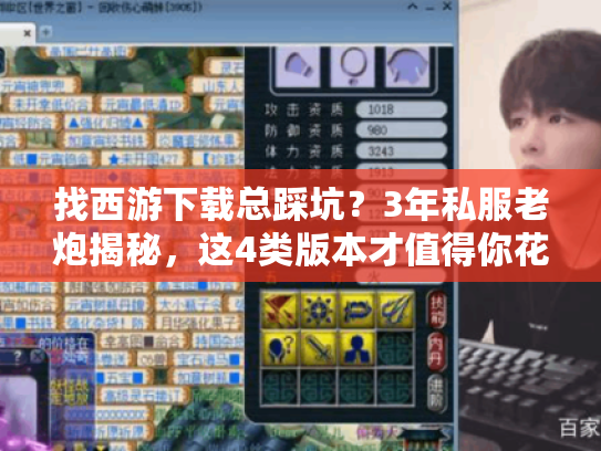 找西游下载总踩坑？3年私服老炮揭秘，这4类版本才值得你花时间