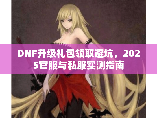DNF升级礼包领取避坑，2025官服与私服实测指南