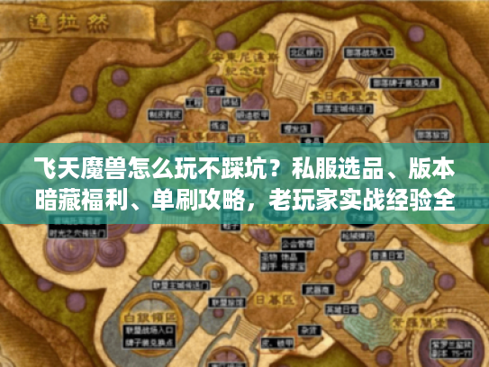 飞天魔兽怎么玩不踩坑?私服选品、版本暗藏福利、单刷攻略,老玩家实战经验全泄 飞天魔兽怎么玩不踩坑?私服选品、版本暗藏福利、单刷攻略,老玩家实战经验全泄