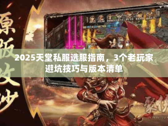2025天堂私服选服指南，3个老玩家避坑技巧与版本清单