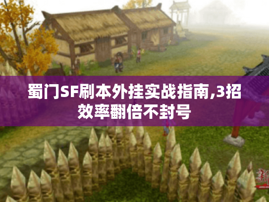 蜀门SF刷本外挂实战指南,3招效率翻倍不封号