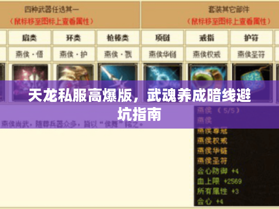 天龙私服高爆版，武魂养成暗线避坑指南