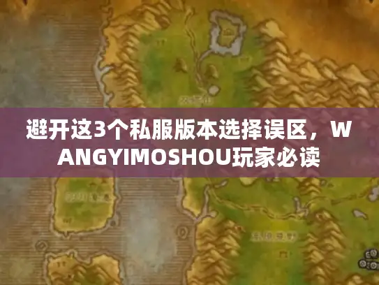 避开这3个私服版本选择误区，WANGYIMOSHOU玩家必读