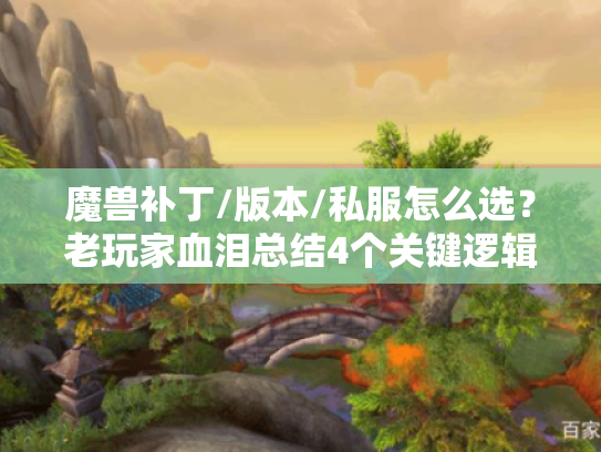 魔兽补丁/版本/私服怎么选？老玩家血泪总结4个关键逻辑，看完直接少走弯路