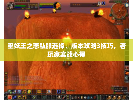 巫妖王之怒私服选择、版本攻略3技巧，老玩家实战心得