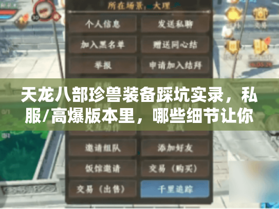 天龙八部珍兽装备踩坑实录，私服/高爆版本里，哪些细节让你的宝宝从废柴变战神？