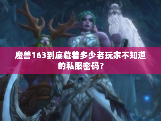 魔兽163到底藏着多少老玩家不知道的私服密码？