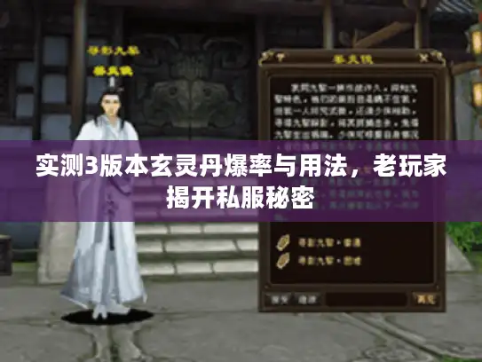 实测3版本玄灵丹爆率与用法,老玩家揭开私服秘密 实测3版本玄灵丹爆率与用法,老玩家揭开私服秘密