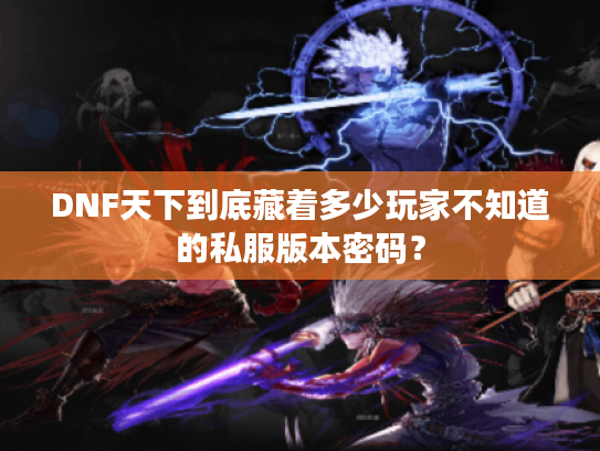 DNF天下到底藏着多少玩家不知道的私服版本密码? DNF天下到底藏着多少玩家不知道的私服版本密码?