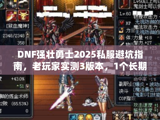 DNF强壮勇士2025私服避坑指南，老玩家实测3版本，1个长期玩版本
