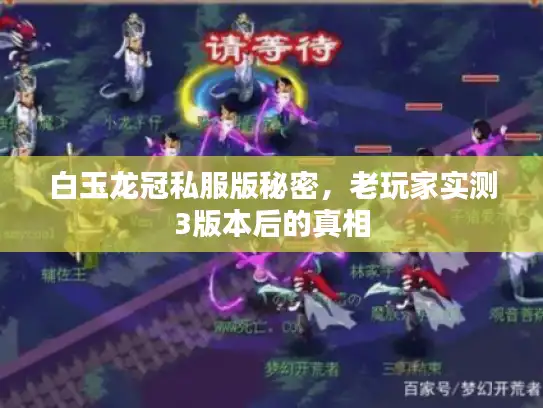 白玉龙冠私服版秘密,老玩家实测3版本后的真相 白玉龙冠私服版秘密,老玩家实测3版本后的真相