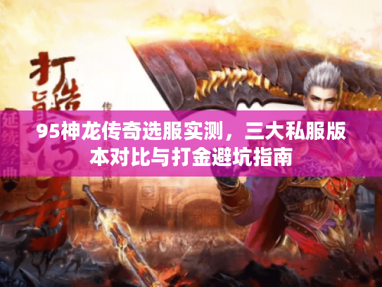 95神龙传奇选服实测,三大私服版本对比与打金避坑指南 95神龙传奇选服实测,三大私服版本对比与打金避坑指南