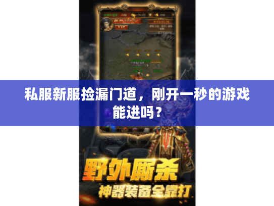 私服新服捡漏门道，刚开一秒的游戏能进吗？