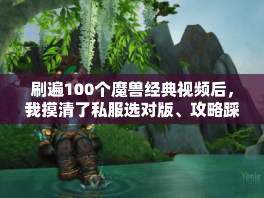 刷遍100个魔兽经典视频后，我摸清了私服选对版、攻略踩对点的3个隐藏逻辑