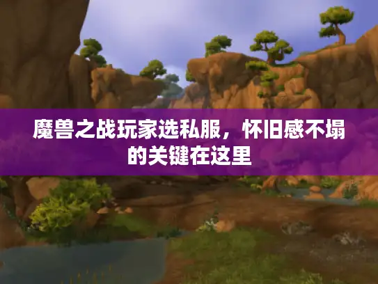 魔兽之战玩家选私服,怀旧感不塌的关键在这里 魔兽之战玩家选私服,怀旧感不塌的关键在这里
