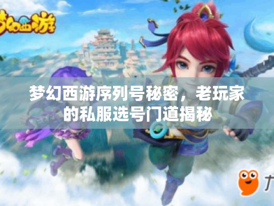 梦幻西游序列号秘密，老玩家的私服选号门道揭秘