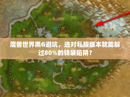魔兽世界黑G避坑，选对私服版本就能躲过80%的钱袋陷阱？