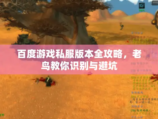 百度游戏私服版本全攻略,老鸟教你识别与避坑 百度游戏私服版本全攻略,老鸟教你识别与避坑