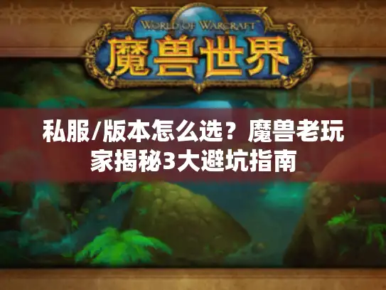 私服/版本怎么选？魔兽老玩家揭秘3大避坑指南