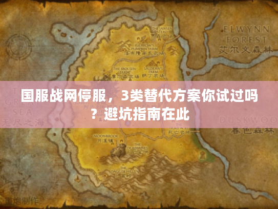 国服战网停服，3类替代方案你试过吗？避坑指南在此