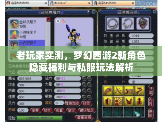 老玩家实测，梦幻西游2新角色隐藏福利与私服玩法解析