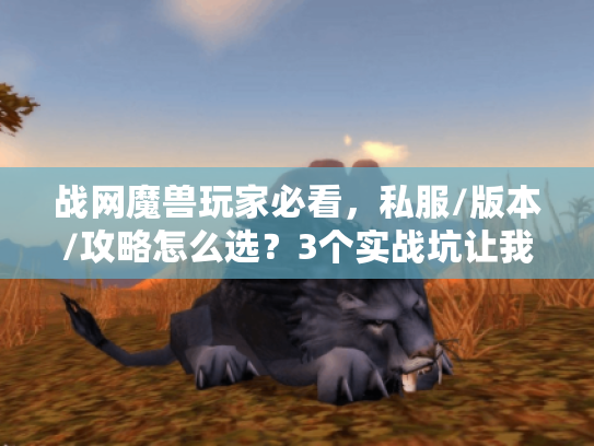战网魔兽玩家必看，私服/版本/攻略怎么选？3个实战坑让我躲过90%弯路
