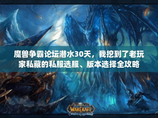 魔兽争霸论坛潜水30天，我挖到了老玩家私藏的私服选服、版本选择全攻略