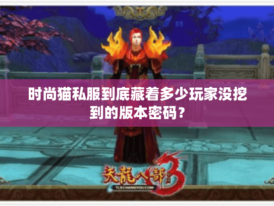 时尚猫私服到底藏着多少玩家没挖到的版本密码？