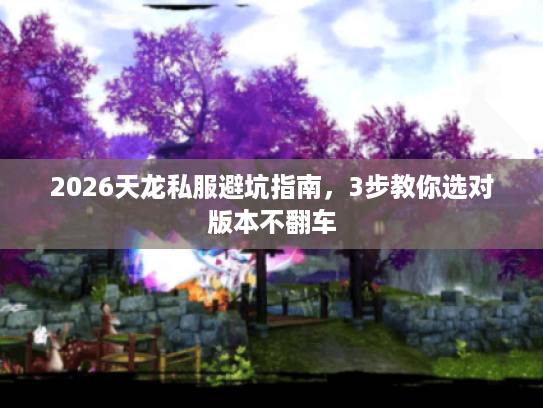 2026天龙私服避坑指南，3步教你选对版本不翻车